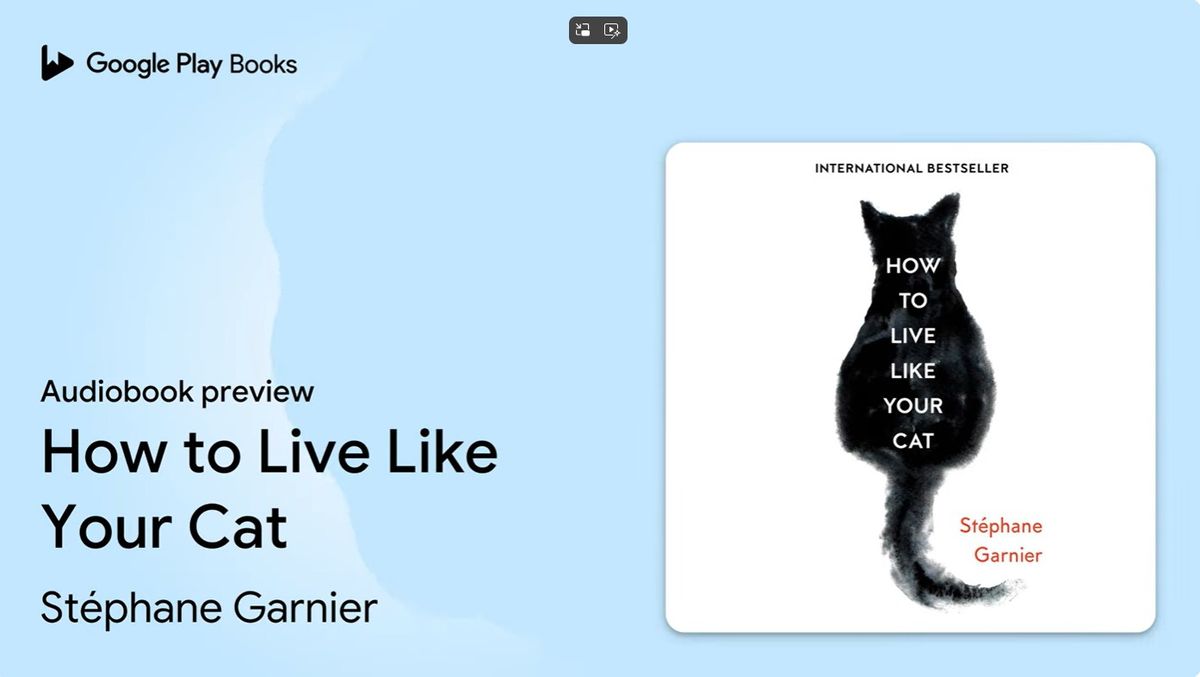 How to Live Like Your Cat