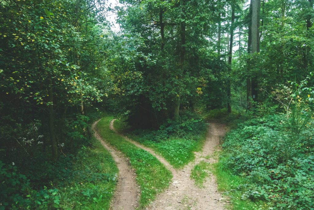 10 tips to make great decisions in the face of stress